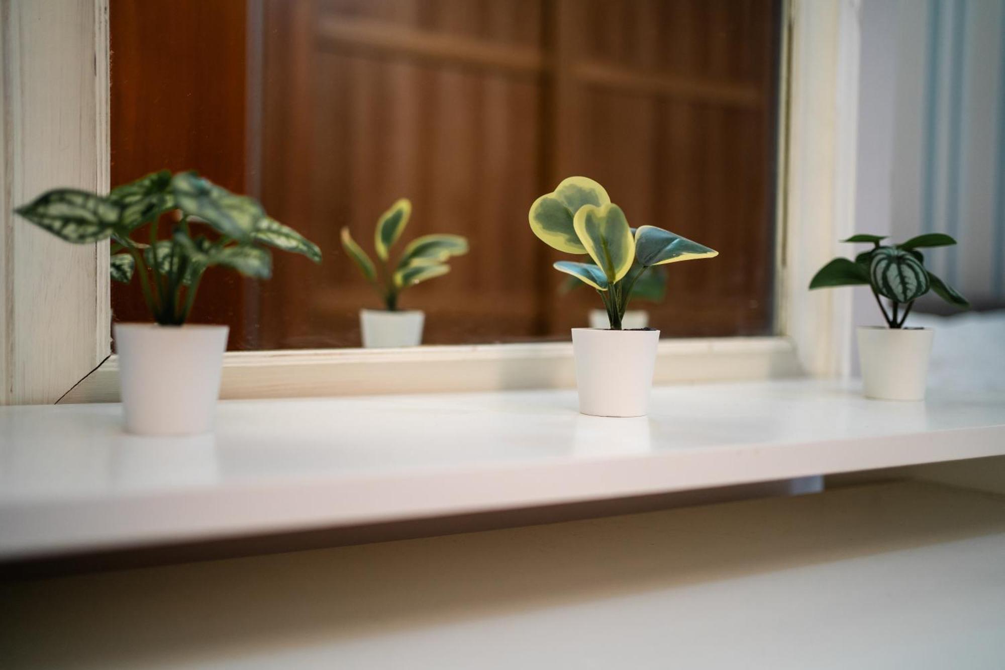Central Duplex Apartment In Belfast City Centre מראה חיצוני תמונה